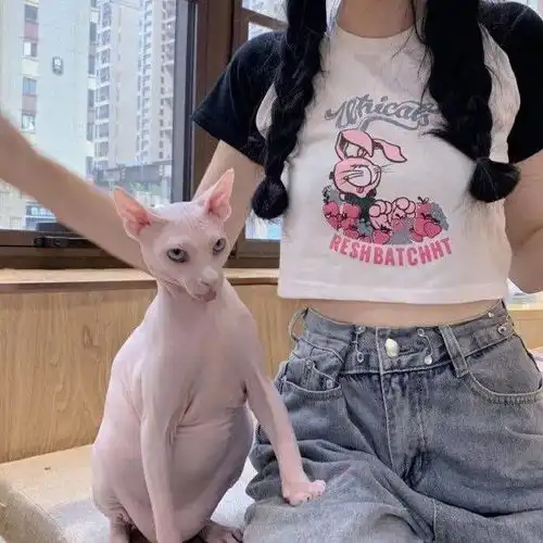 微信头像百看不厌