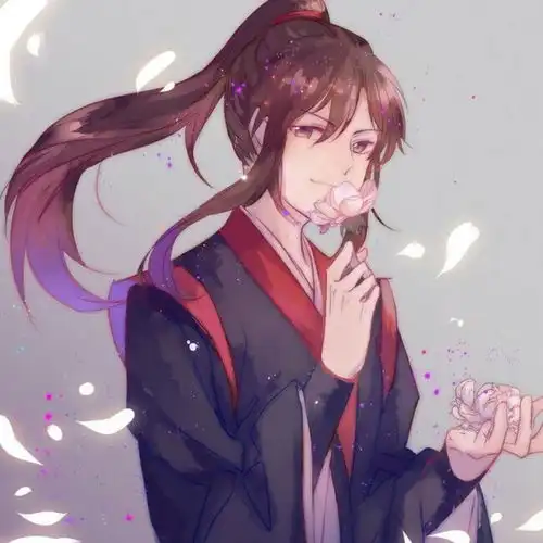 年度魔道祖师最佳人物排名,皮皮羡凭借可爱,拥有众多死忠粉