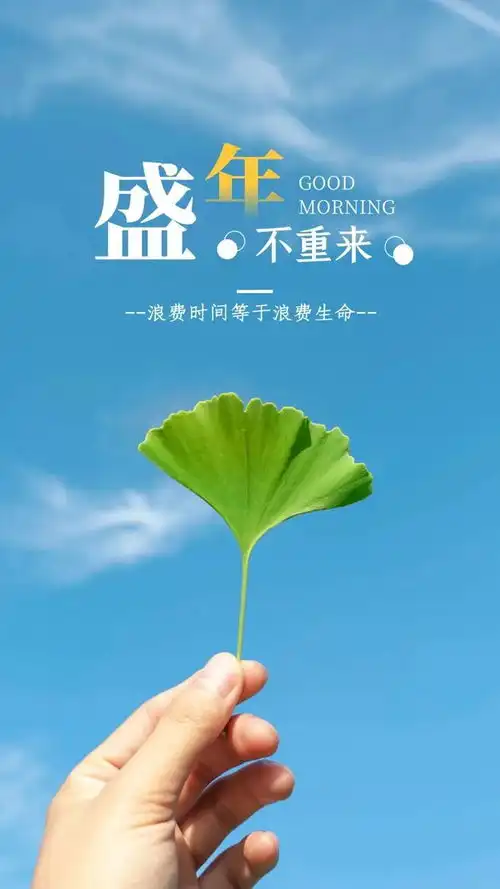 释放压力的励志正能量句子,句句干净治愈,让你元气满满