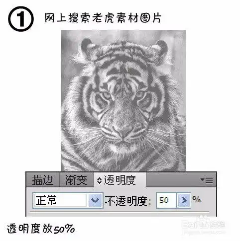 利用ai绘制老虎头像
