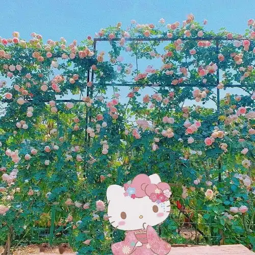 高质量微信头像