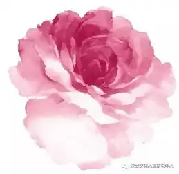 今日花朝节岁时节日花朝节