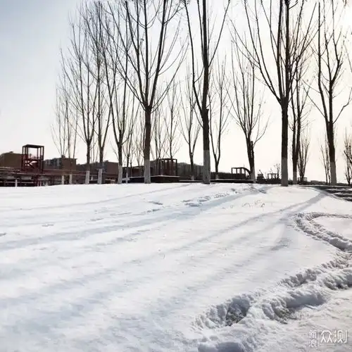手机如何拍美雪后初冬教你4招试试看
