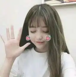 找狮虎