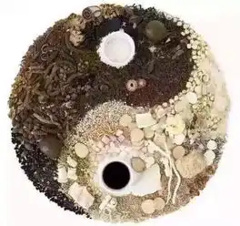一大批新品牌正在向你靠近请做好准备,狂欢模式即将开启