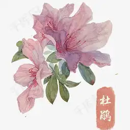 杜鹃手绘素材图片免费下载高清卡通手绘png千库网图片编号7151556