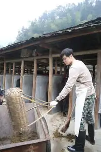 付辛博节目口头禅走红遭侃绯闻女友多