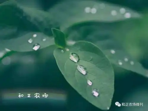 这一天,是你的一天