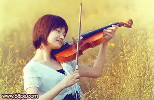 ps调成金黄色的油菜花丛中练琴女孩照片