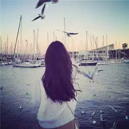 雨丝.雨嘶.雨思白疏扬