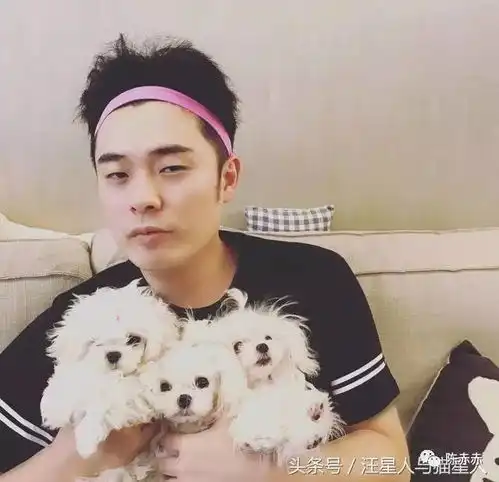 天才陈赫家的汪星人与猫星人,萌萌哒