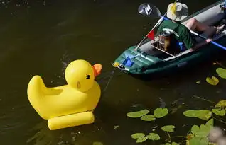 高清风靡世界的大黄鸭