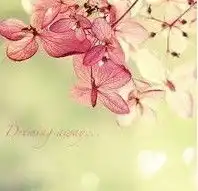 不要等待