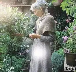 92岁的她独自隐居山林把生活过成了童话