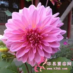 处女座眼里的那女平等