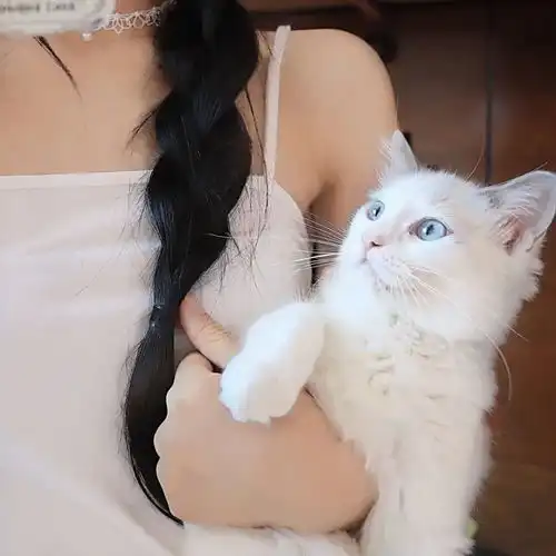 女生头像你可千万别像风啊