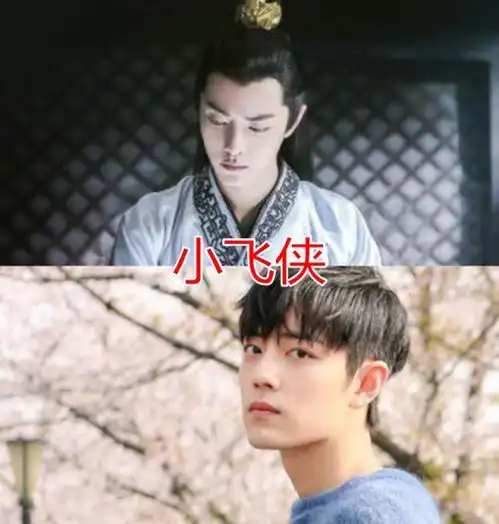庆余年粉丝昵称是什么肖战小飞侠,张若昀云朵,张麒麟女友粉太硬核