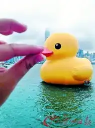 身世之谜引关注香港大黄鸭竟是中山造