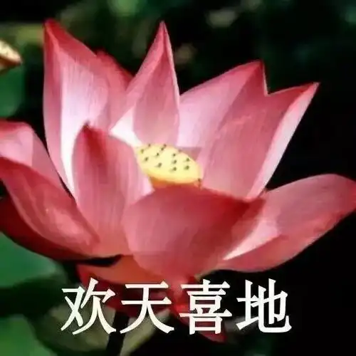 2021.7.26转运头像好运头像