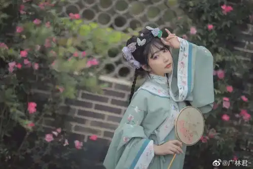 汉服小仙女莫待无花空折枝