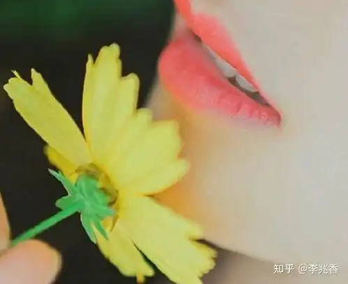 优雅的女生网名有哪些,这些名字好听又与众不同有女神范