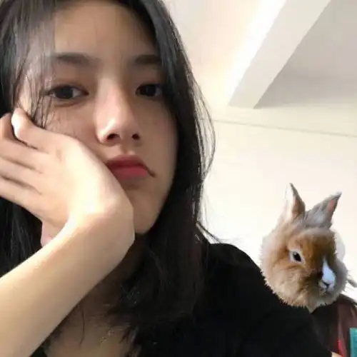 今日份头像愿你白天有说有笑晚上睡个好觉