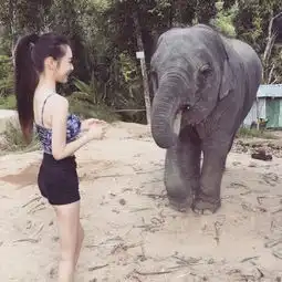天使面孔魔鬼身材台湾校花被封极品女神