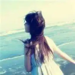 那些花儿
