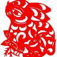 属兔人用什么头像微信头像图片大全