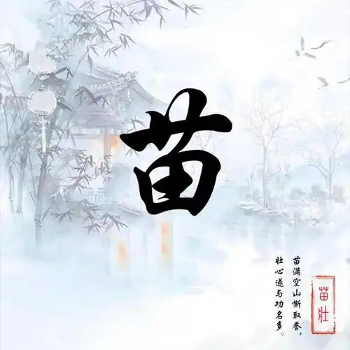 微信头像,姓氏头像,3d金属个性签名头像,喜欢请带走别客气