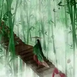网师晨诵雨是一生过错,雨是悲欢离合