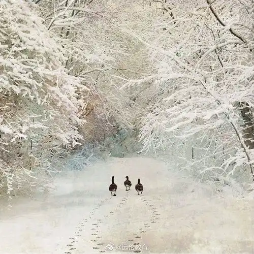 早上好呀雪地里的小画家们遇见艺术手绘远伦分享