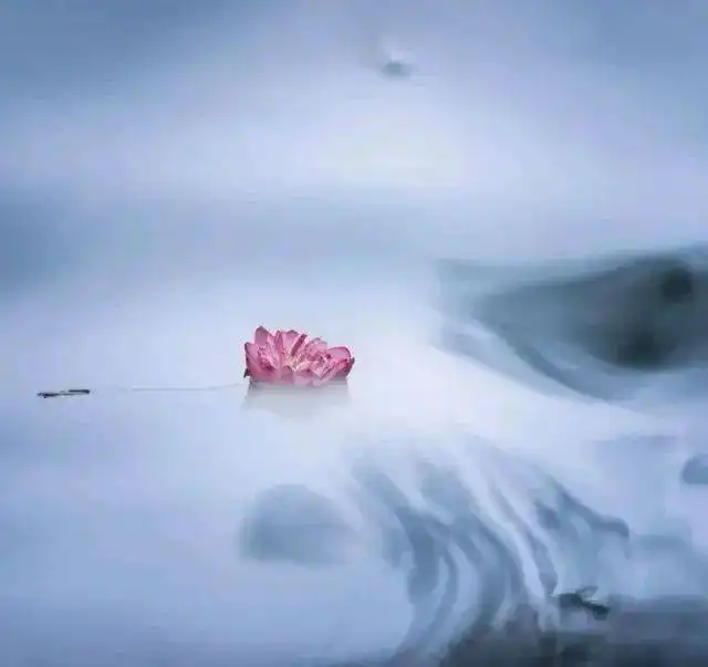 读完豁达一生的佛家禅语,大彻大悟