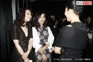 马苏粉丝当我是女神经病