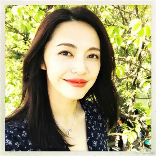 明星撞脸动物不奇怪,撞上树叶才真的服,一叶姚晨太有诗意