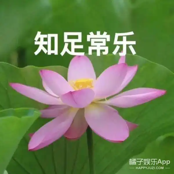 跨服cp朱莉和盆栽哥被拍共进晚餐,八竿子打不着的二位在谈吗