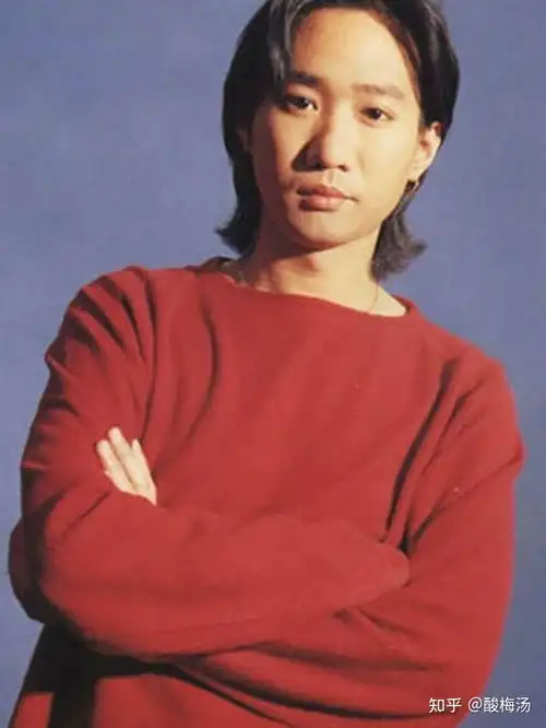 女生想剪狼尾,有无可以给理发师看的图