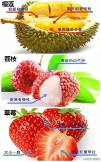 西瓜要买母的才好吃,可惜知道的人太少了