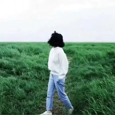 乳牛听音乐时可以供应更多牛奶