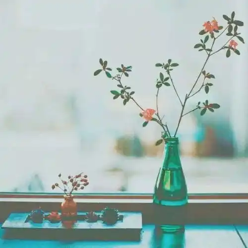 中山小学学习小达人,游考我能行游考系列活动