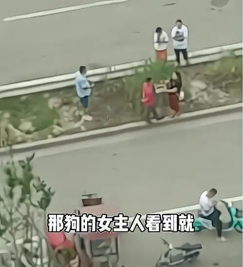 河南男子撞死小狗,女主人非要让其全部生吃掉,双方僵持不下