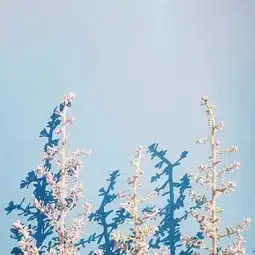 不是每个人,都适合和你白头到老