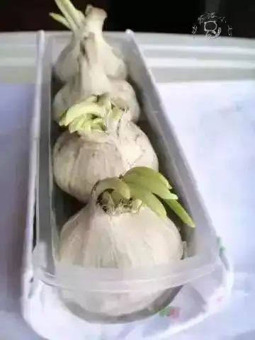 她将薯片罐放到洗手间后,所有人都后悔自己没想到