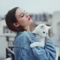 二次元女头抱猫头像微信头像图片大全