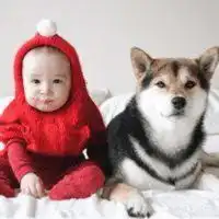 迅疾
