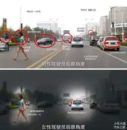 女司机马路杀手女司机为什么总被黑