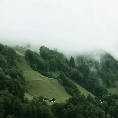 皆甜可爱森系背景图冬天该很风景静物头像我要个性网