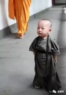 你开的那个叫新零售店吗至多算是杂货铺升级版