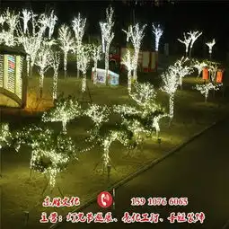 2019年春节亮化春节街道亮化树木亮化真树缠灯