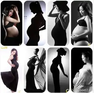 斯迪姆c女王黑白系列盛开在黑白时代的妖娆之花